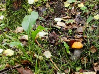 /album/a05-08-2010/dsc00290-jpg/