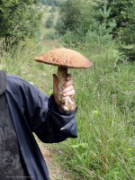 /album/a06-08-2010/gigant-jpg/