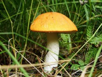 /album/a06-08-2010/hub-jpg/